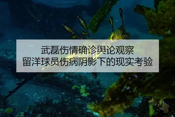 wu-lei-shang-qing-que-zhen-yu-lun-guan-cha-liu-yang-qiu-yuan-shang-bing-yin-ying-xia-de-xian-shi-kao-yan-2-120.jpg