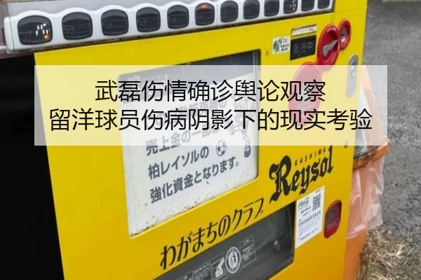 武磊伤情确诊舆论观察 留洋球员伤病阴影下的现实考验